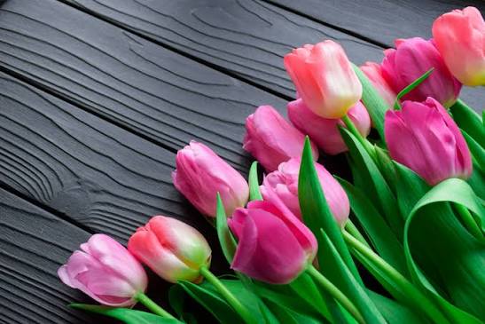Testing Tulip Testing